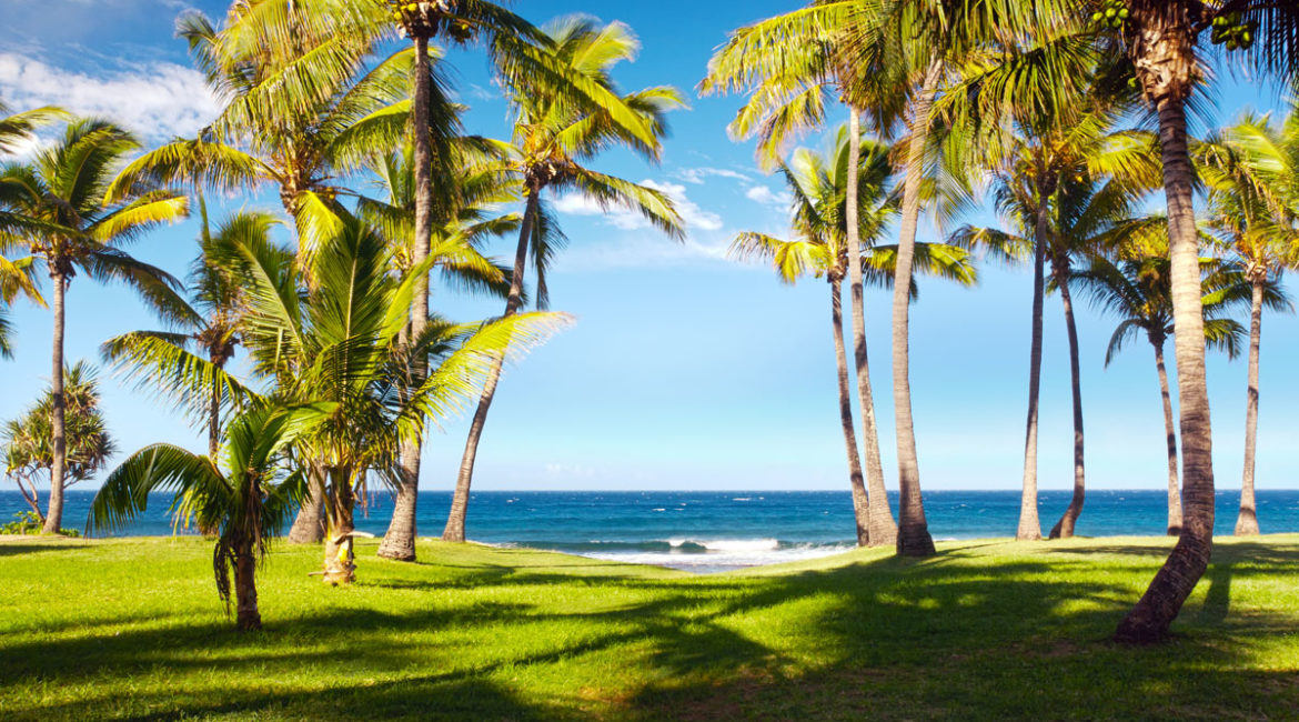 La Plage à voir absolument à l’île de La Réunion